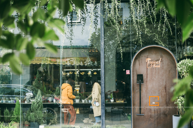 Cà phê sân vườn Tropical Forest ở Tây Sơn