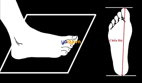 Cách đo chân mua giày