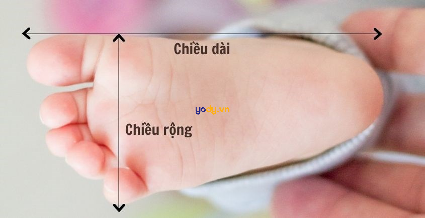 Cách đo chân mua giày