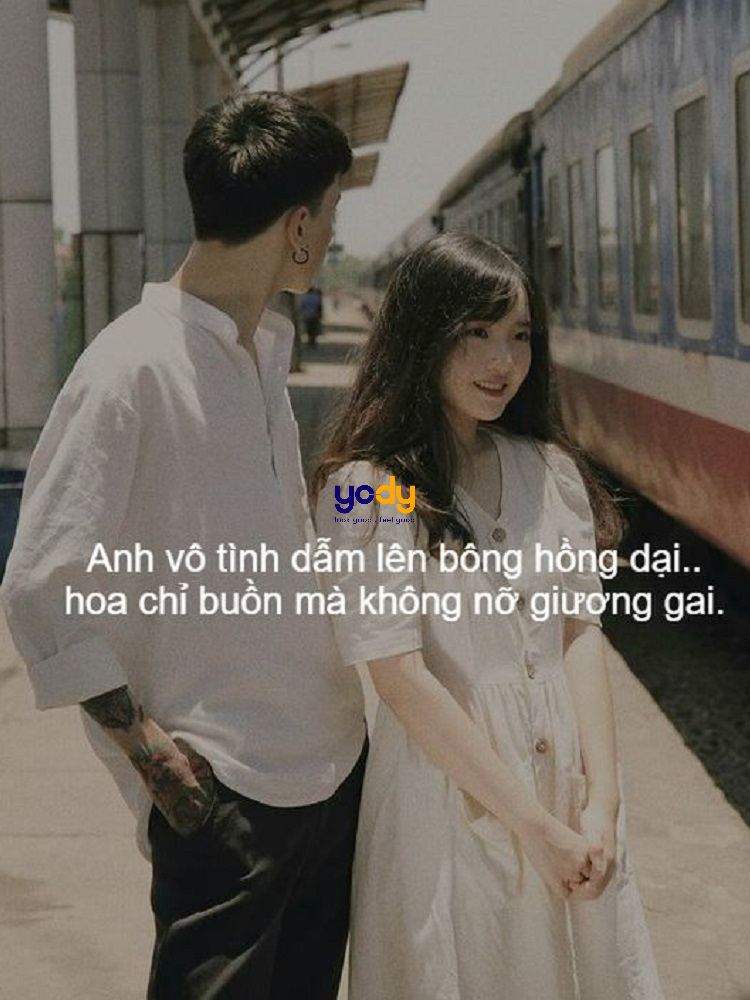 cap thả thính hay