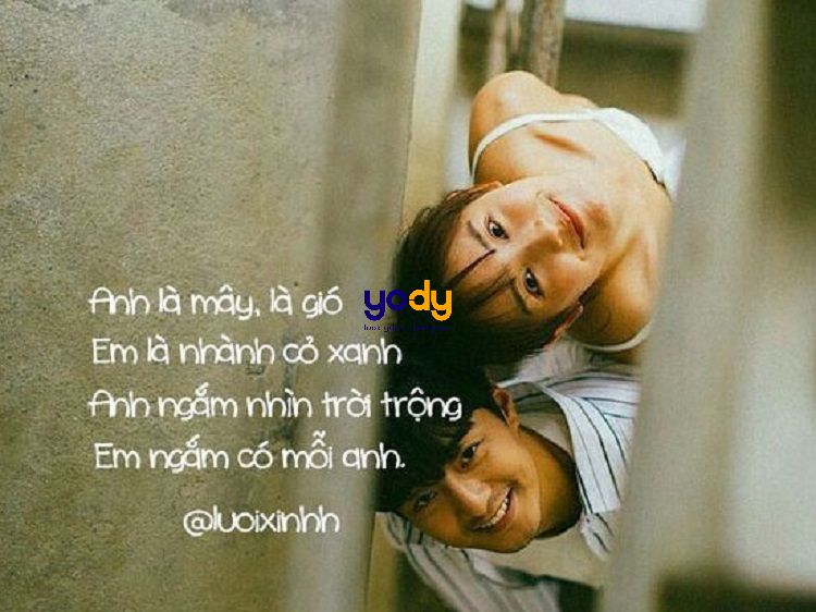 Cap thả thính hay