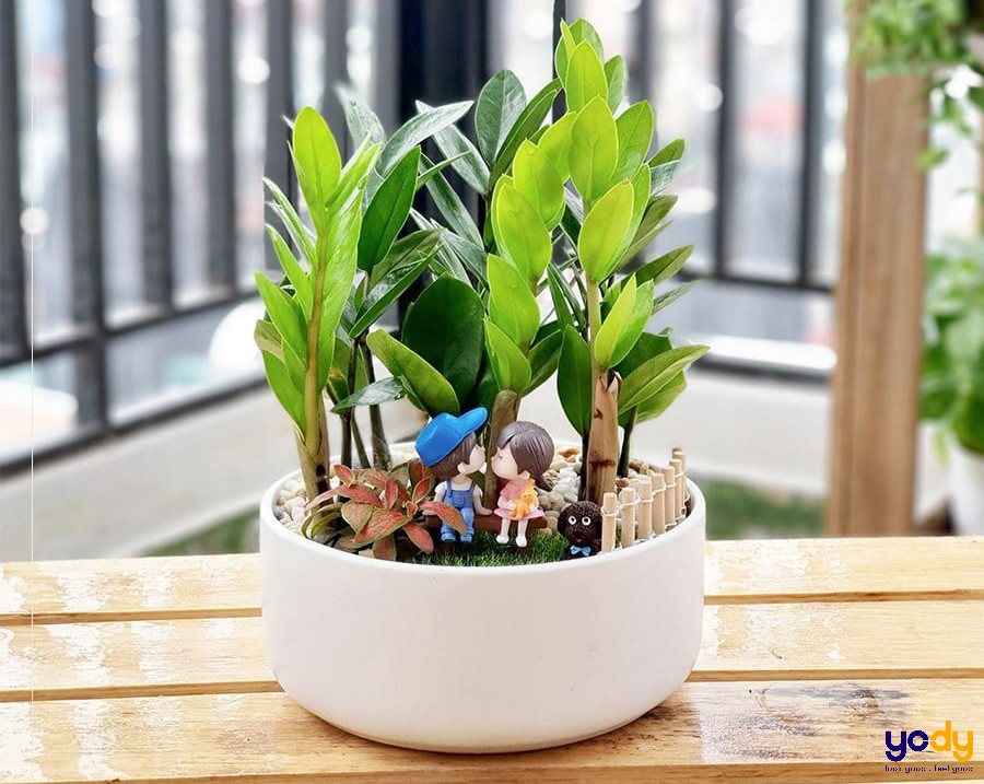 Mệnh Hoả nên trồng cây gì trước nhà?
