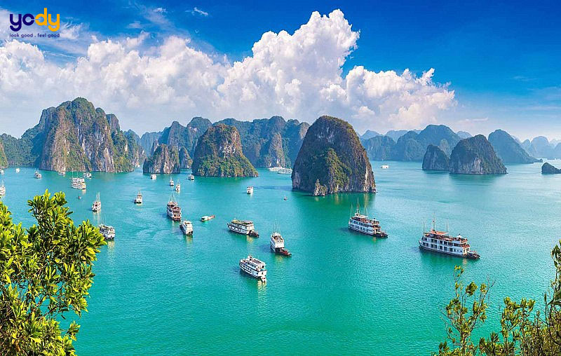 Đôi nét về địa điểm du lịch Quảng Ninh