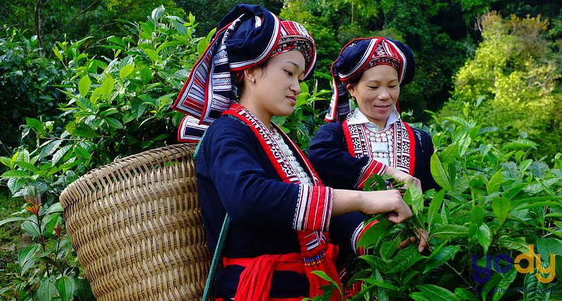 Đi thi đánh giá năng lực mặc đồ gì cho phù hợp?