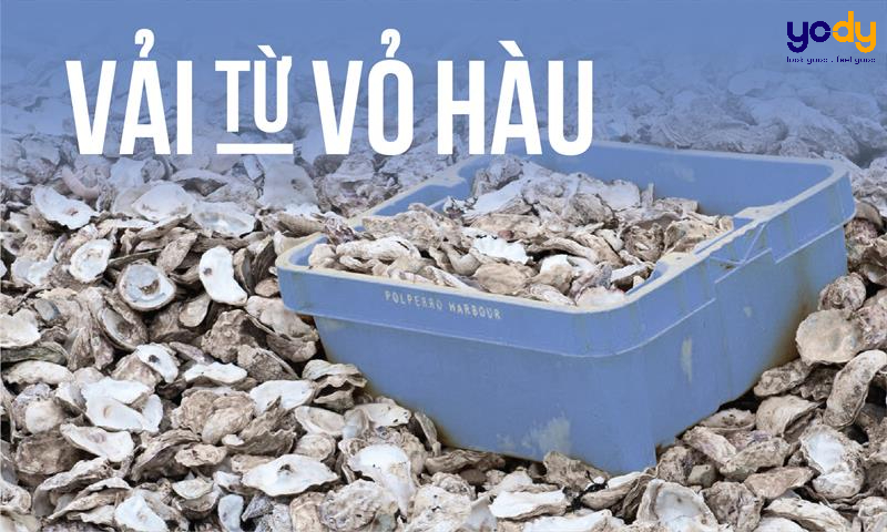 Tái chế vỏ hàu - Sự phát triển, đổi mới cho xu hướng thời trang bền vững