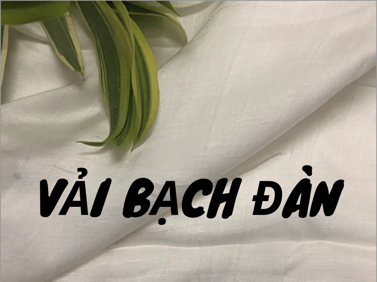 Vải bạch đàn là gì? Chất liệu vải thoáng mát cho ngày hè