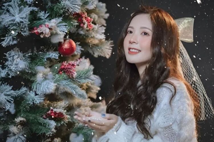 hình ảnh cây thông noel đẹp