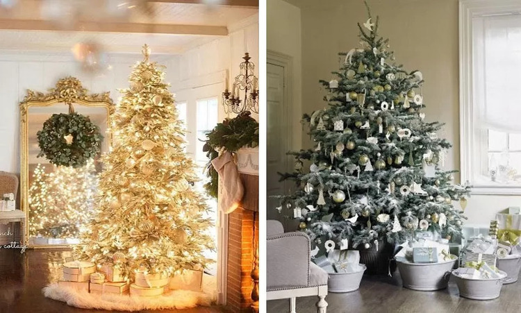 hình ảnh cây thông noel đẹp
