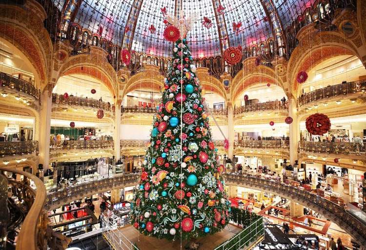 hình ảnh cây thông noel đẹp
