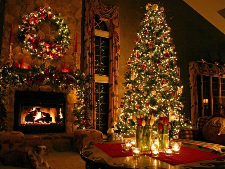 hình ảnh cây thông noel đẹp