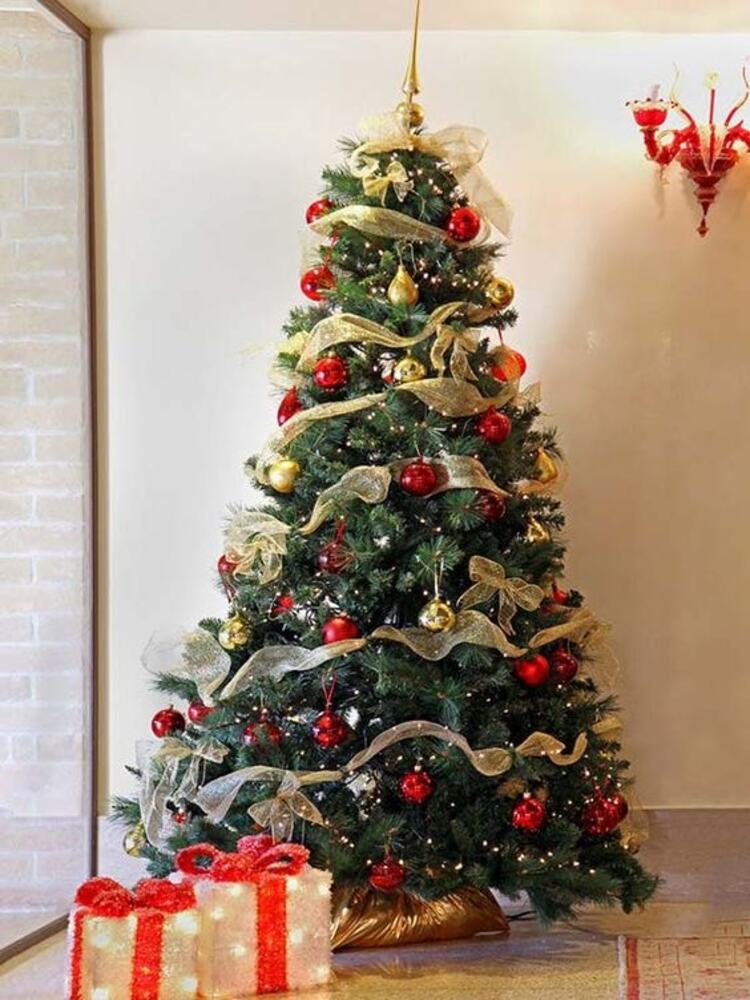 hình ảnh cây thông noel đẹp