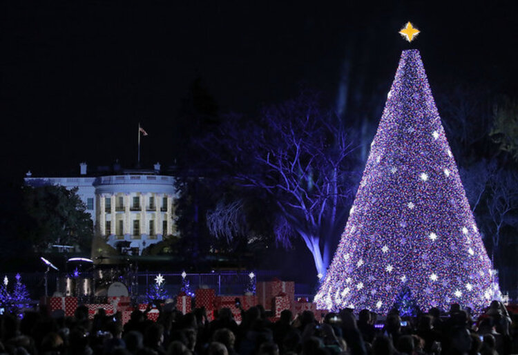 hình ảnh cây thông noel đẹp