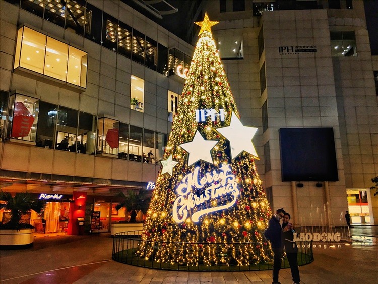 hình ảnh cây thông noel đẹp