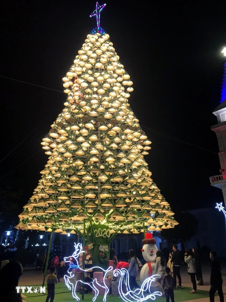hình ảnh cây thông noel đẹp