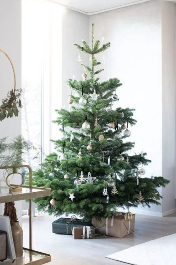 hình ảnh cây thông noel đẹp
