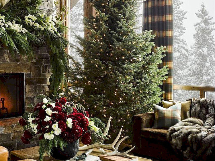 hình ảnh cây thông noel đẹp