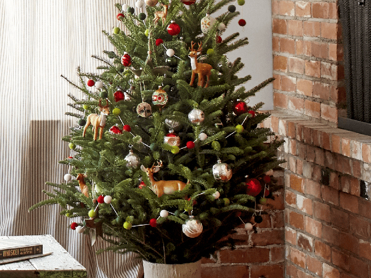hình ảnh cây thông noel đẹp