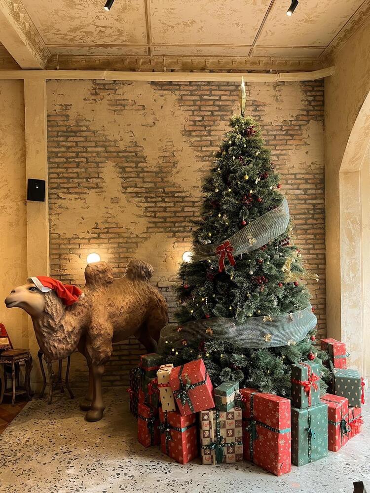 hình ảnh cây thông noel đẹp