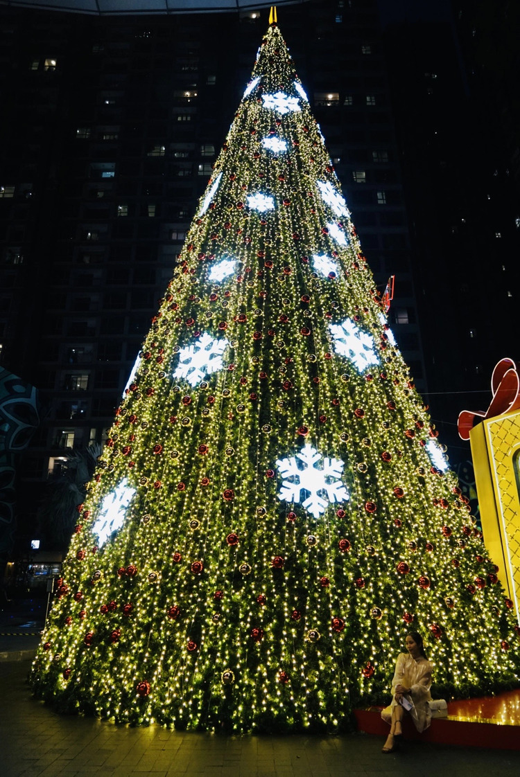 hình ảnh cây thông noel đẹp