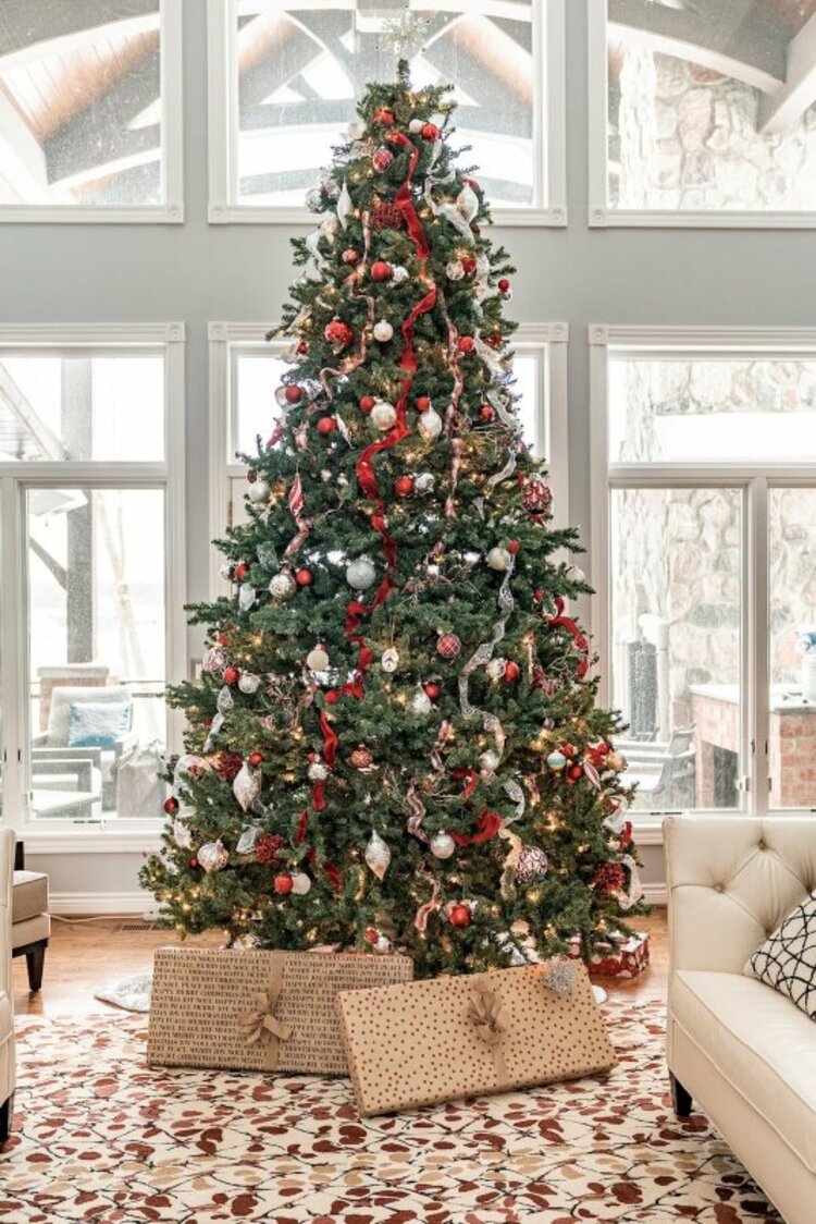 hình ảnh cây thông noel đẹp
