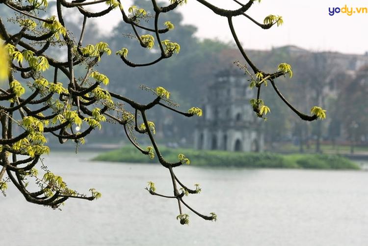 ảnh đẹp hồ gươm