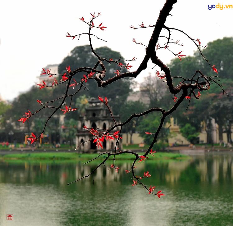 ảnh đẹp hồ gươm