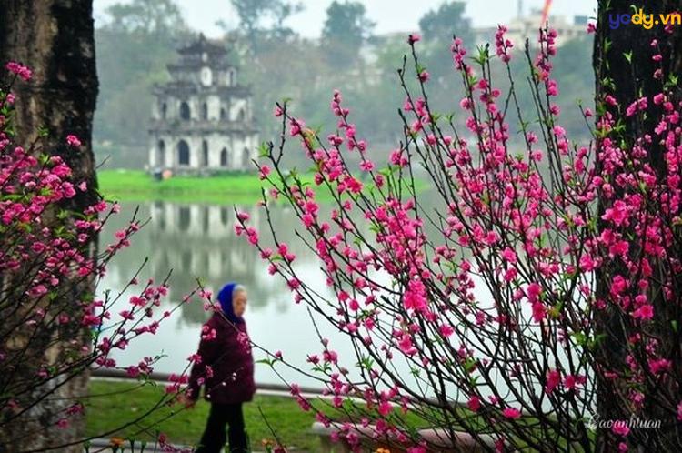 ảnh đẹp hồ gươm