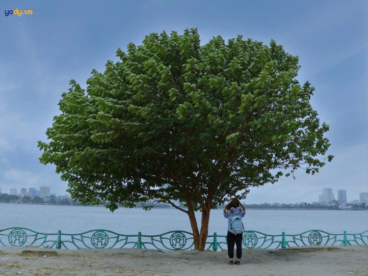 chụp ảnh hồ tây