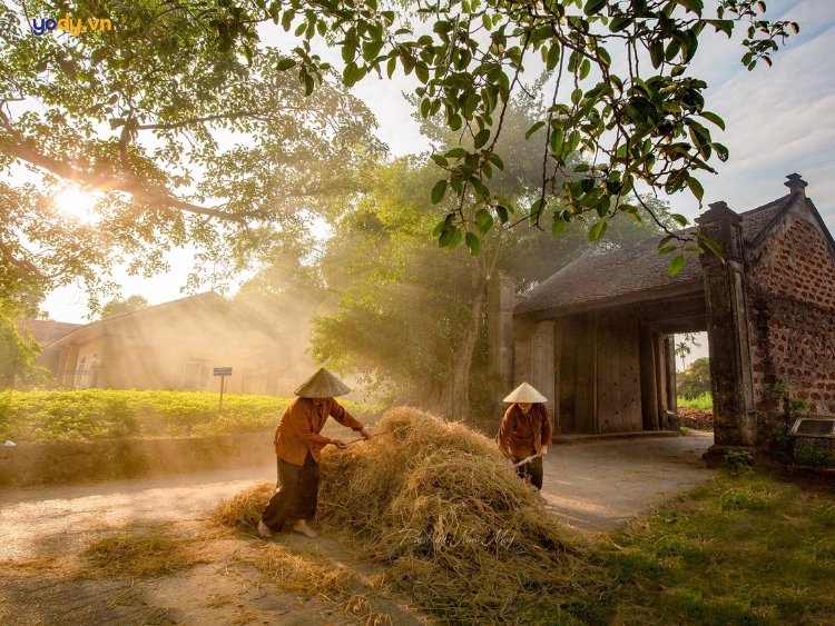 địa điểm chụp ảnh hoa mùa thu Hà Nội