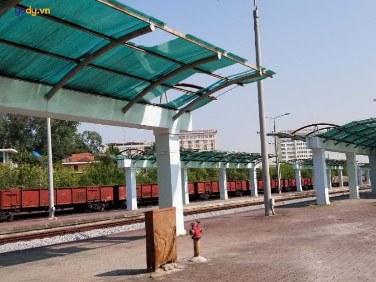 địa điểm chụp ảnh hoa mùa thu Hà Nội