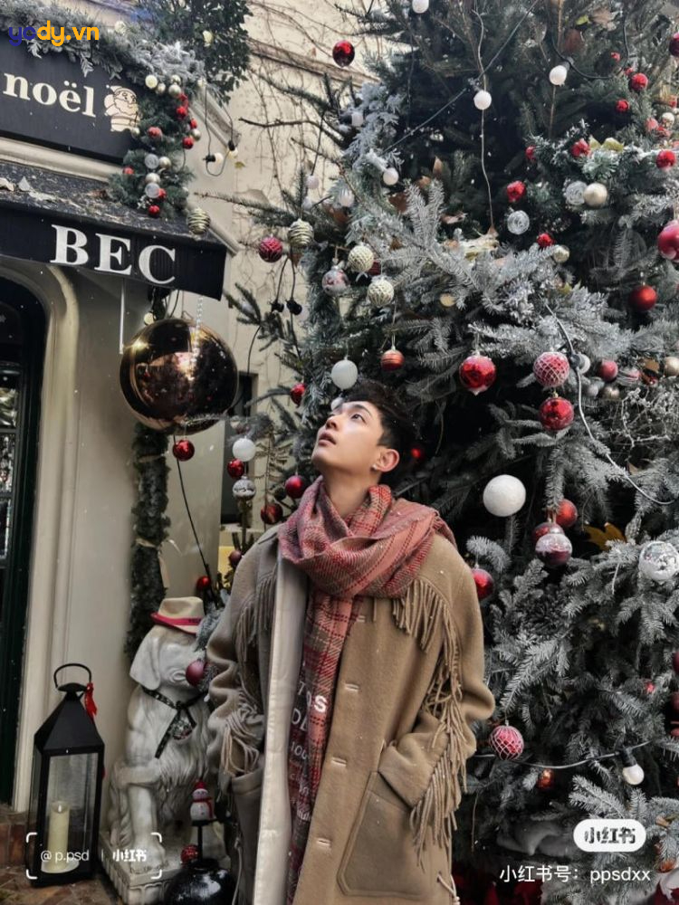 chụp ảnh với cây thông noel