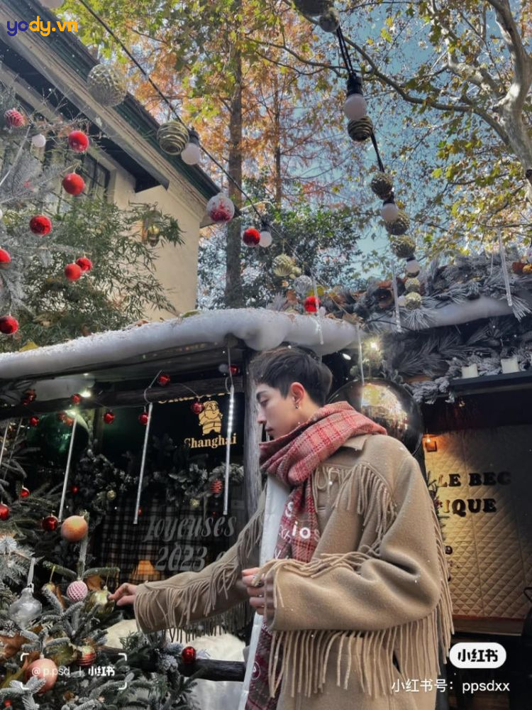 chụp ảnh với cây thông noel