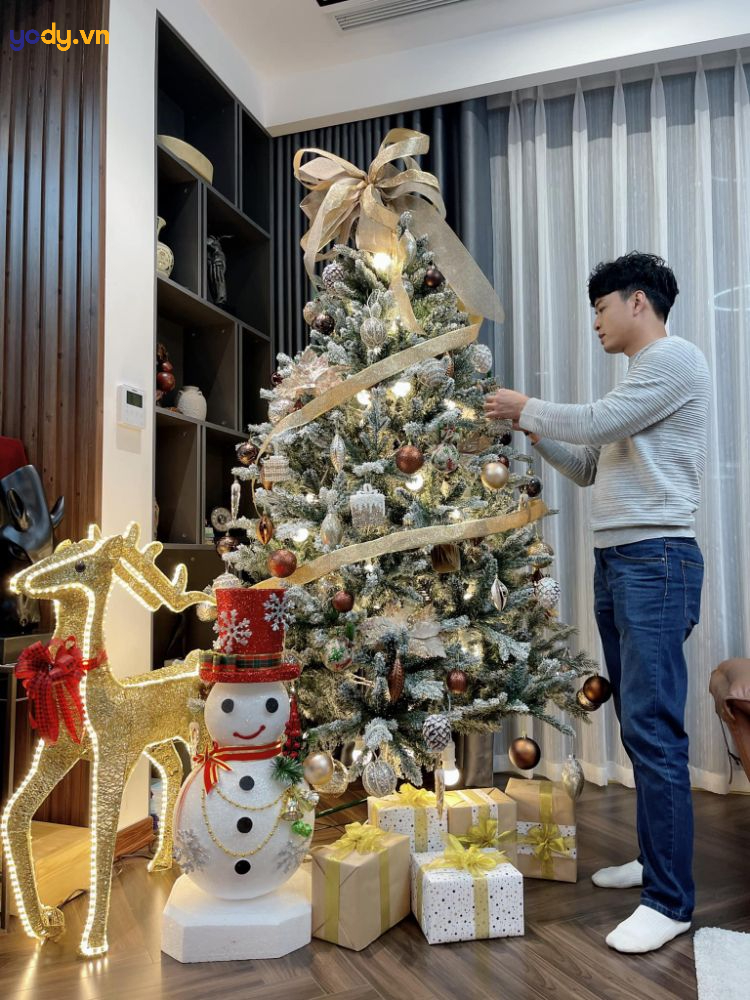 chụp ảnh với cây thông noel