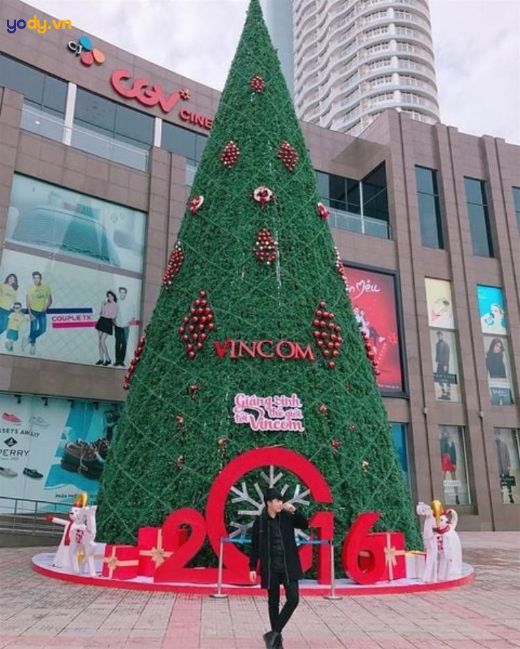 chụp ảnh với cây thông noel