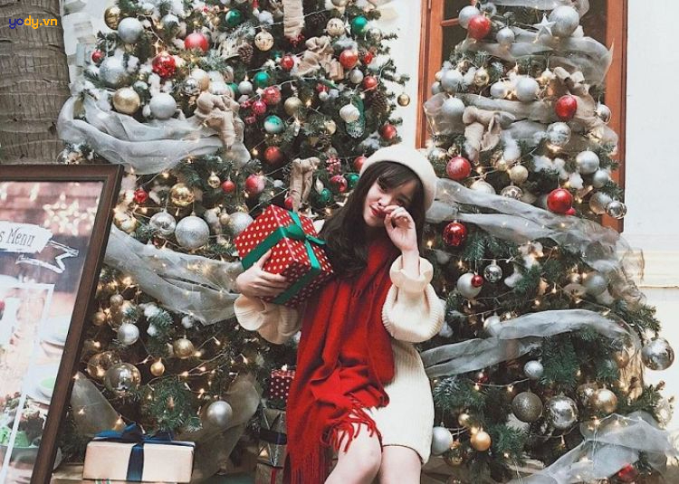 chụp ảnh với cây thông noel