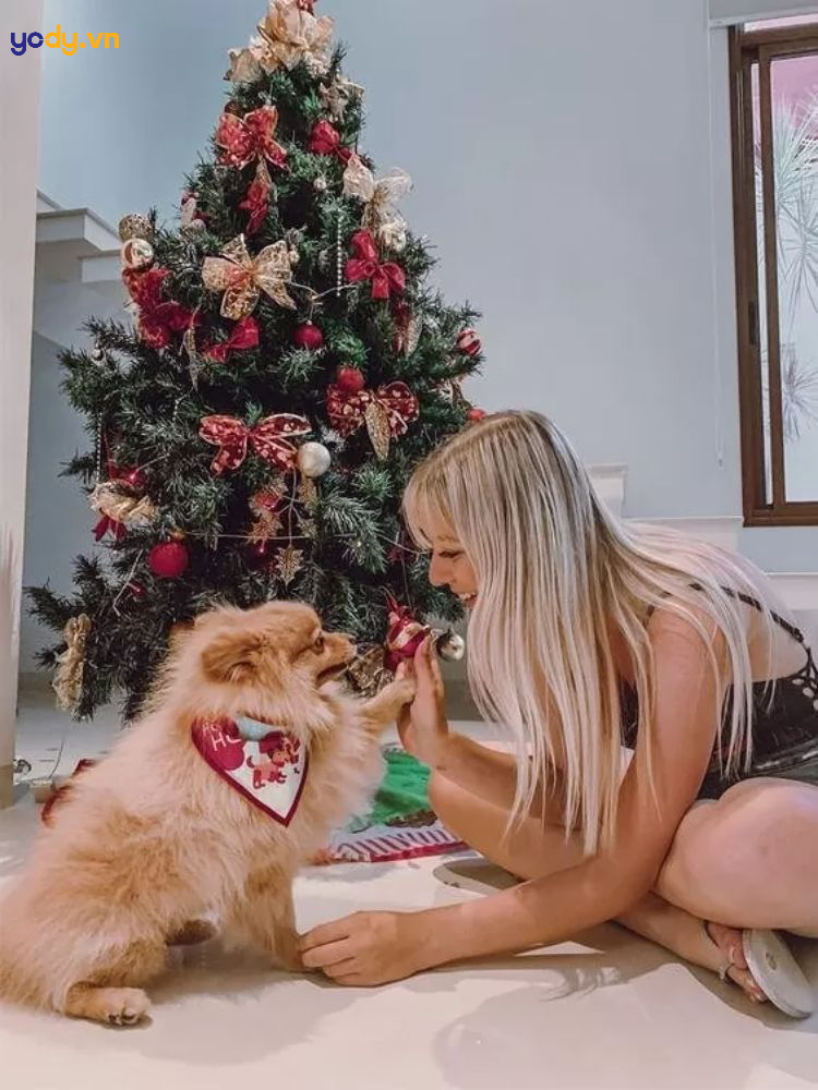 chụp ảnh với cây thông noel