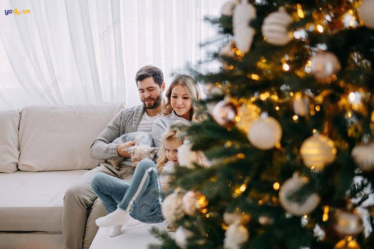 chụp ảnh với cây thông noel
