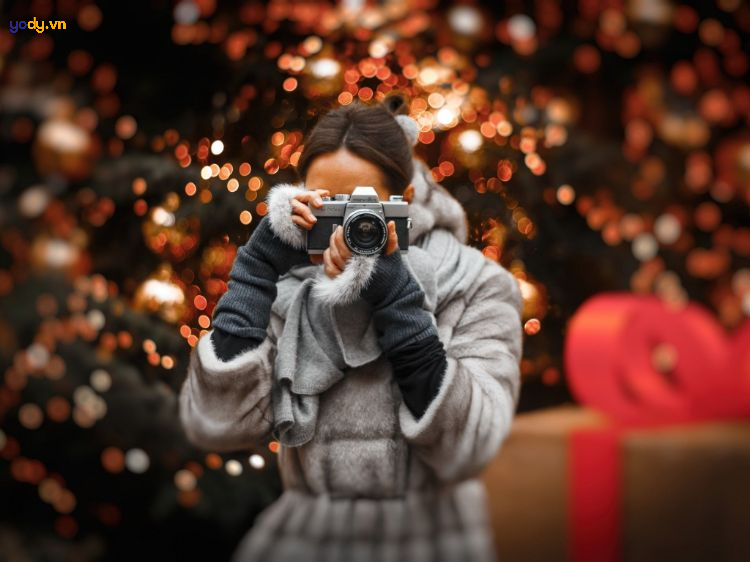 chụp ảnh với cây thông noel
