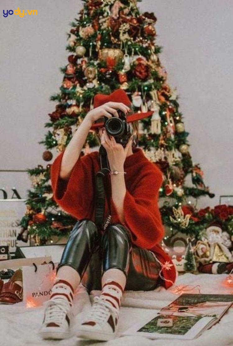 chụp ảnh với cây thông noel