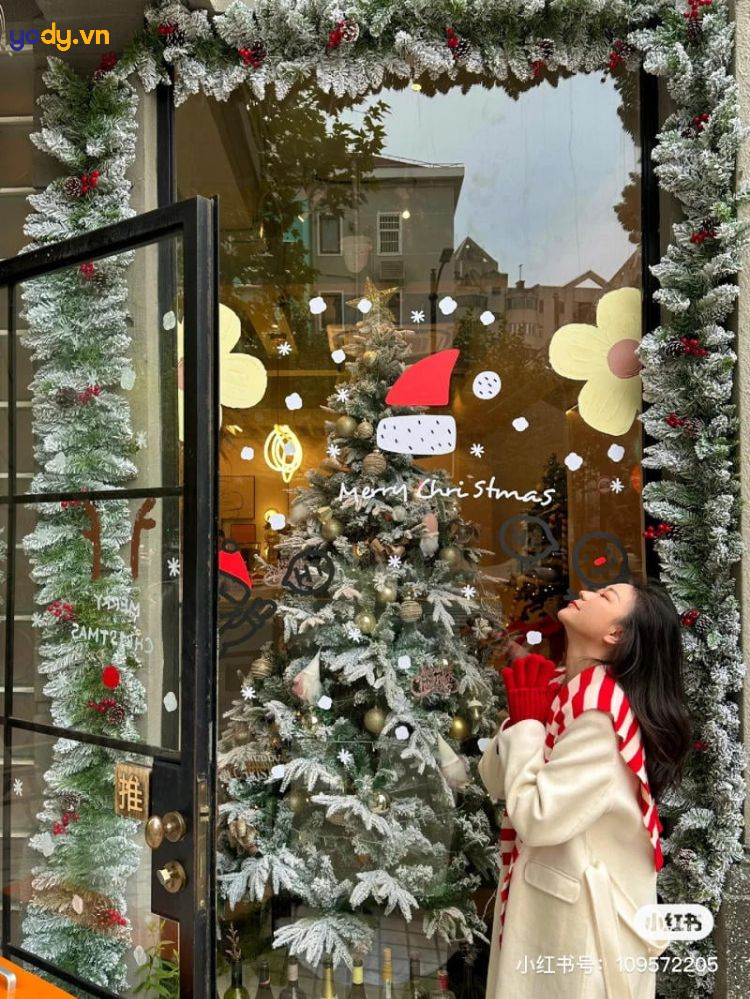 chụp ảnh với cây thông noel