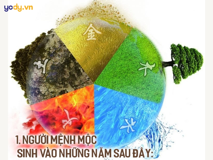 Mệnh mộc có hợp màu nâu không