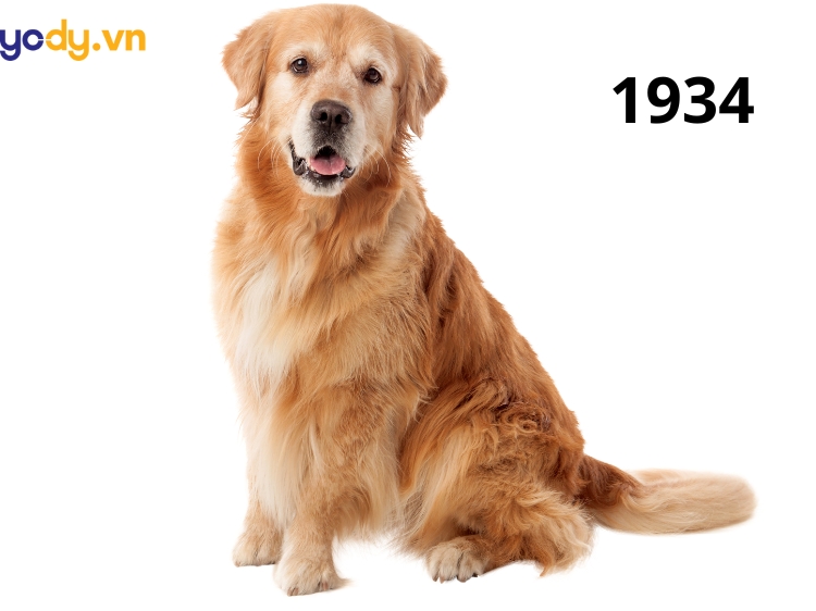 năm 1934 tuổi con gì