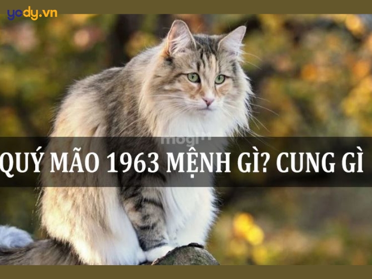 nam sinh năm 1963 mệnh gì