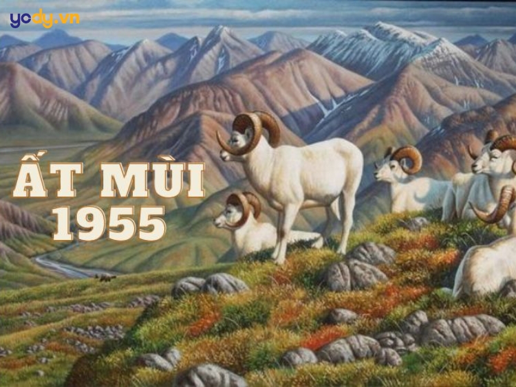 sinh năm 1955 là tuổi con gì