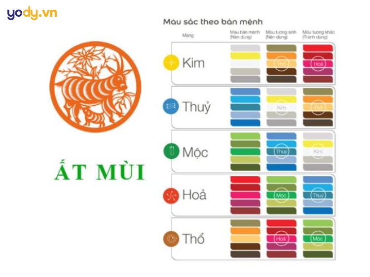 sinh năm 1955 là tuổi con gì
