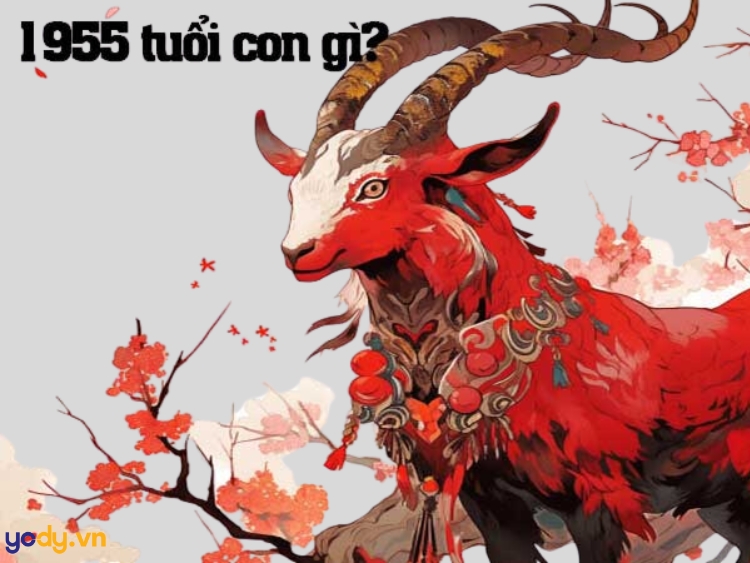 sinh năm 1955 là tuổi con gì