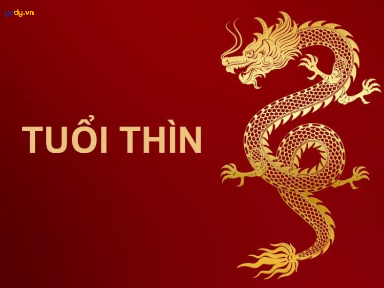 sinh năm 2024 mệnh gì