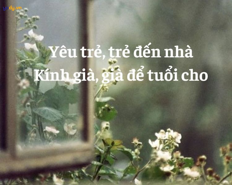 stt hài hước về tuổi tác
