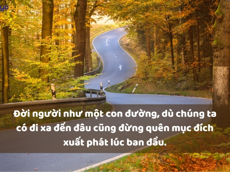 sst trưởng thành